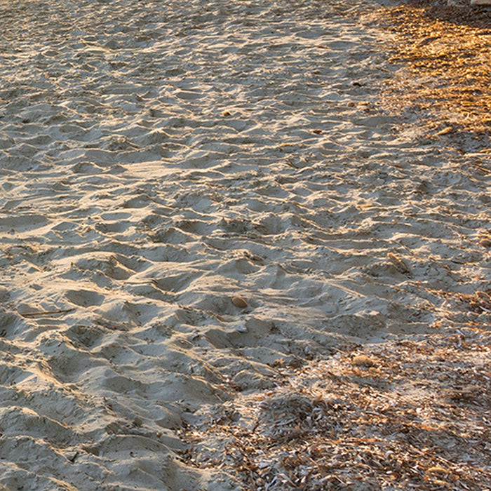 Vlies Fototapete | Lonely Paradise | Größe 450 x 280 cm