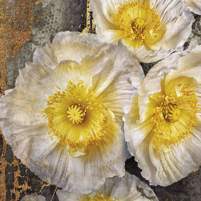 Papier Fototapete | Serafina | Größe 368 x 254 cm