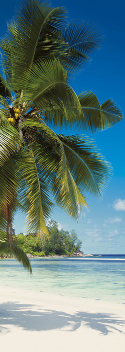 Vlies Fototapete | Coconut Bay | Größe 100 x 280 cm