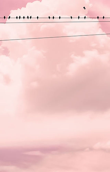 Komar | Vlies Fototapete | Cloud Wire Panel | Größe 100 x 250 cm