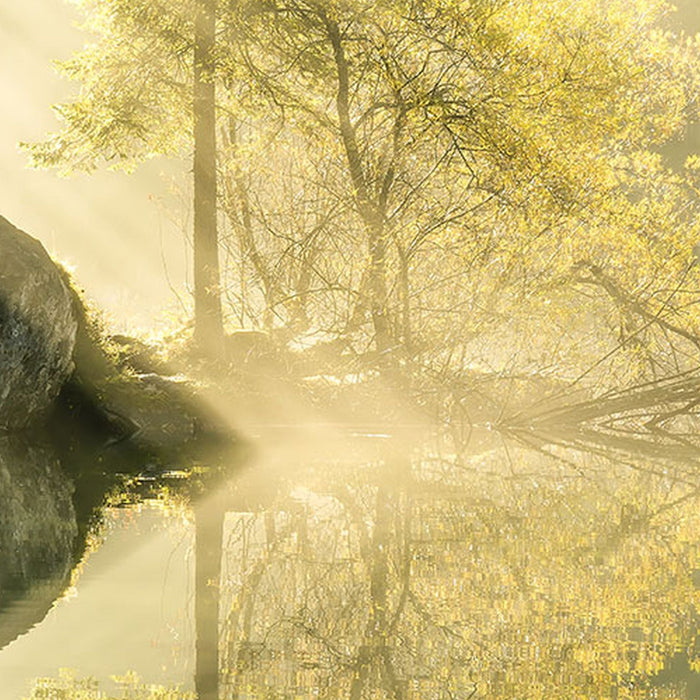 Vlies Fototapete | Indulgence of Beauty | Größe 200 x 250 cm