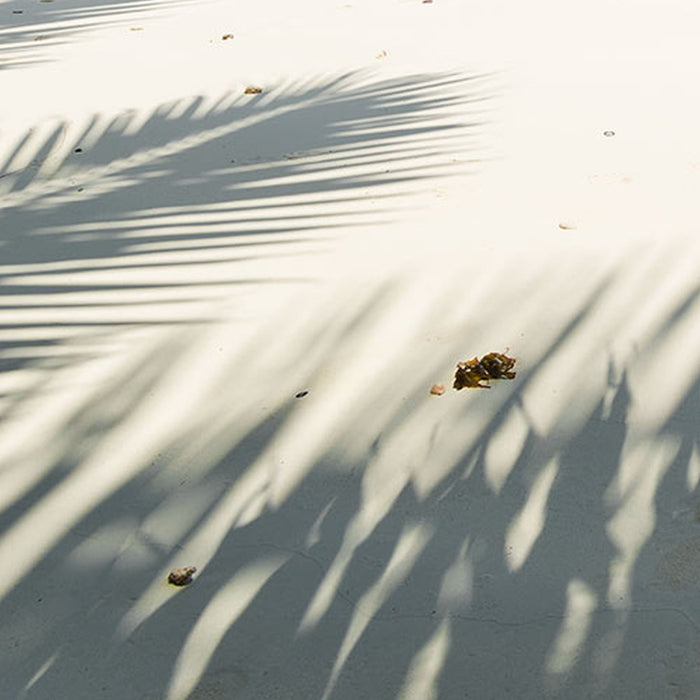 Vlies Fototapete | Under The Palmtree | Größe 200 x 250 cm