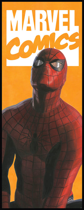 Komar | Vlies Fototapete | Spider Man Comic | Größe 100 x 250 cm