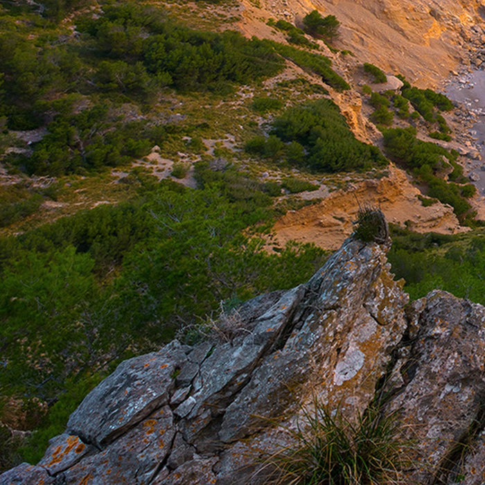 Vlies Fototapete | Emerald Cove | Größe 400 x 250 cm