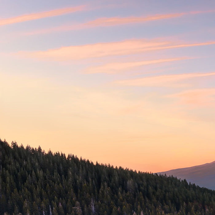 Vlies Fototapete | Between the Light | Größe 450 x 280 cm