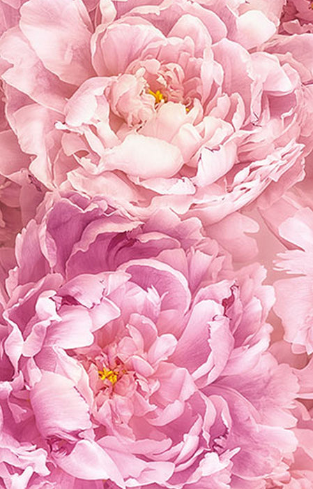 Vlies Fototapete | Soave Panel | Größe 100 x 250 cm