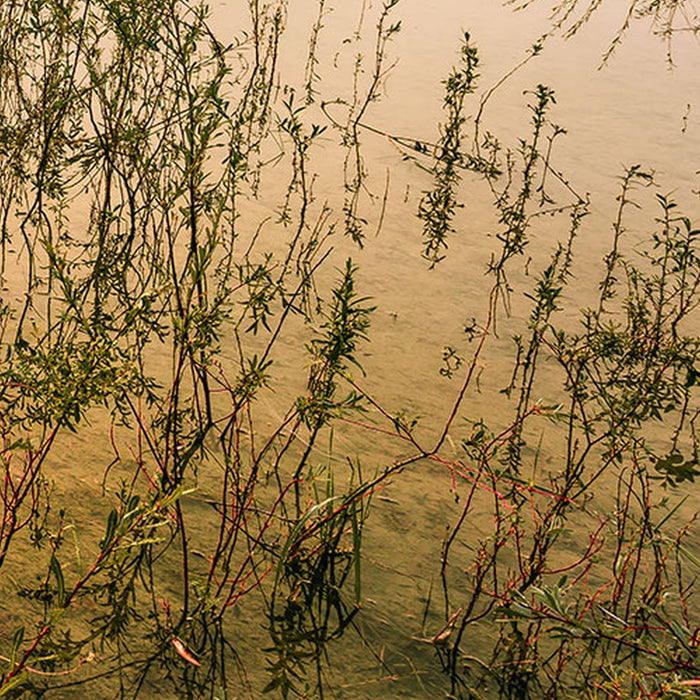 Komar | Vlies Fototapete | Morning View II | Größe 400 x 250 cm