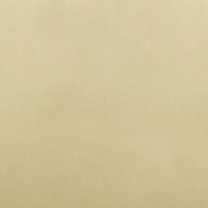 Apelt | Arte | Kissen | 40x60 | beige