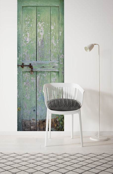 Vlies Fototapete | Gartentür | Größe 100 x 280 cm