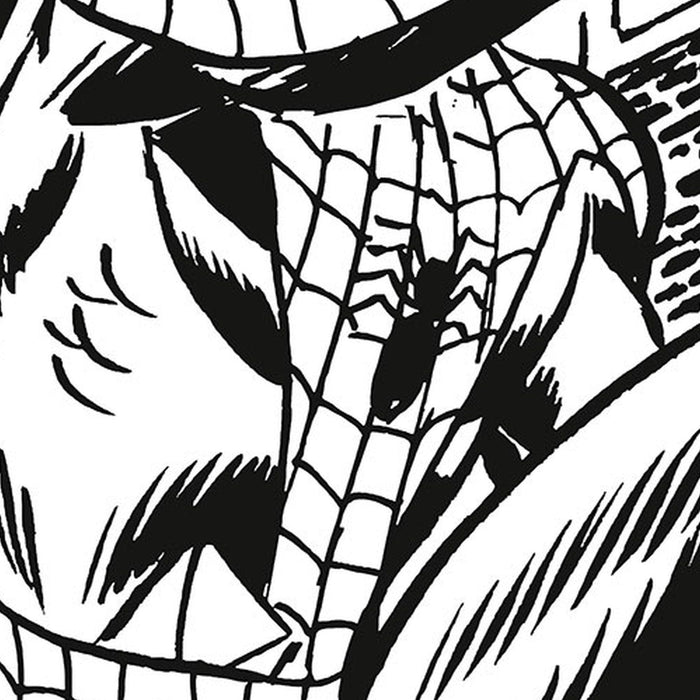 Vlies Fototapete | Spider Man Classic Climb | Größe 100 x 200 cm