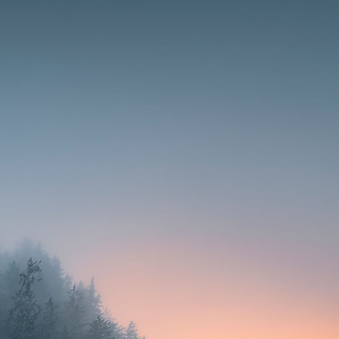 Vlies Fototapete | Cry of the Sea | Größe 200 x 280 cm