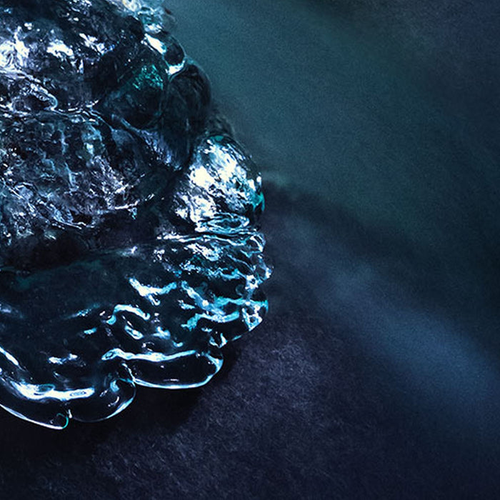 Vlies Fototapete | The Coronation | Größe 200 x 250 cm