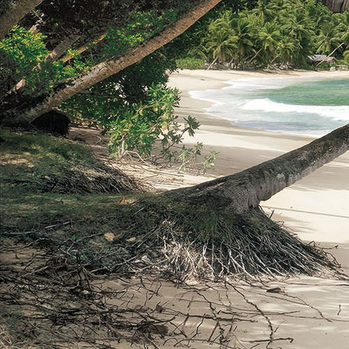 Papier Fototapete | Tropical Sea | Größe 368 x 254 cm