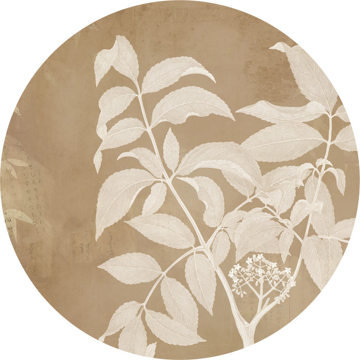 Komar | Selbstklebende Vlies Fototapete/Wandtattoo | Blooming Branch | Größe 125 x 125 cm