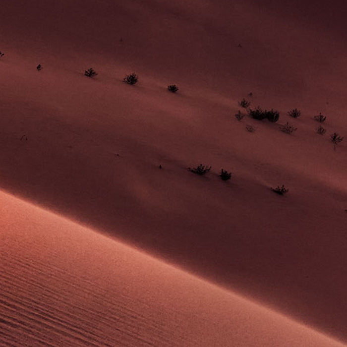 Vlies Fototapete | God Rays | Größe 200 x 250 cm