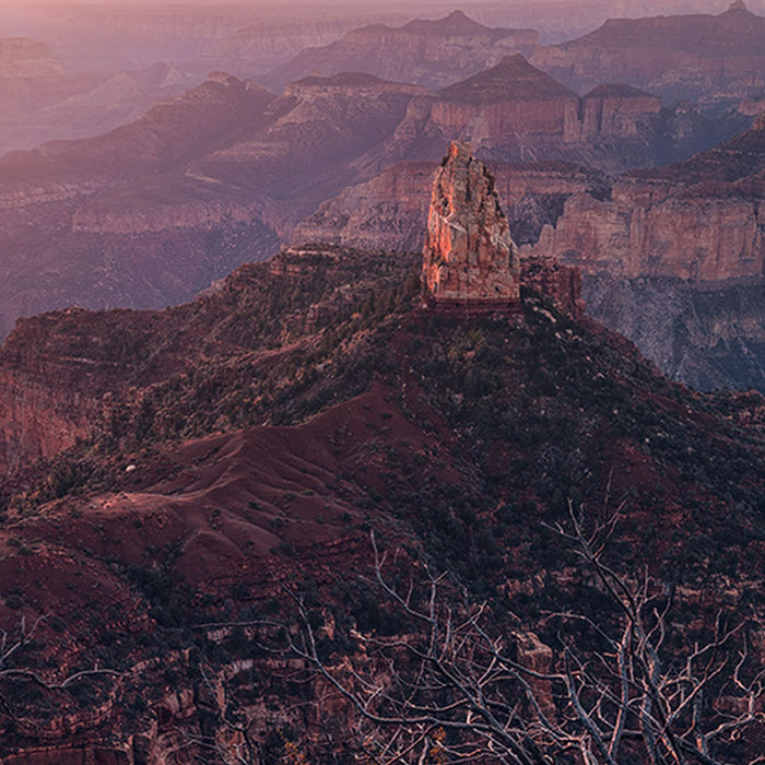 Vlies Fototapete | Grand View  | Größe 450 x 280 cm