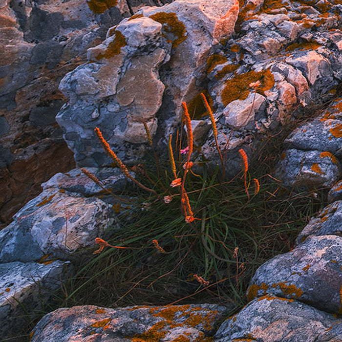 Vlies Fototapete | Spiegelküste | Größe 368 x 248 cm