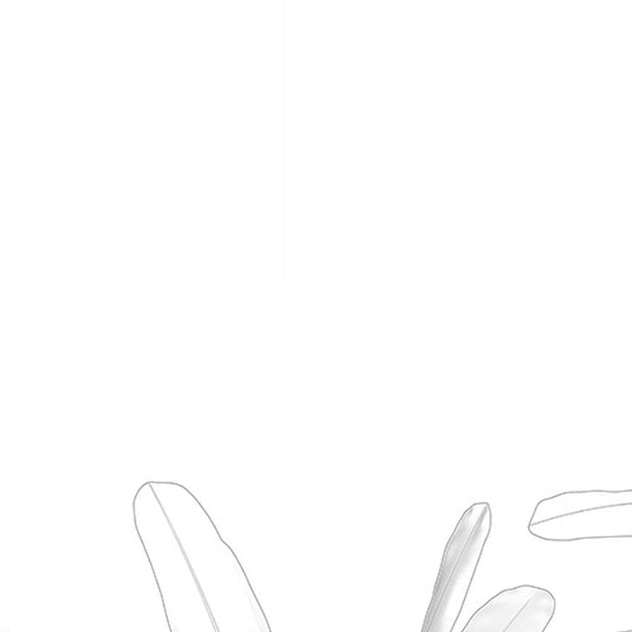 Vlies Fototapete | Musa | Größe 400 x 280 cm