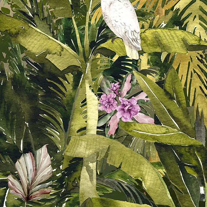 Vlies Fototapete | Jungle Expedition | Größe 400 x 280 cm