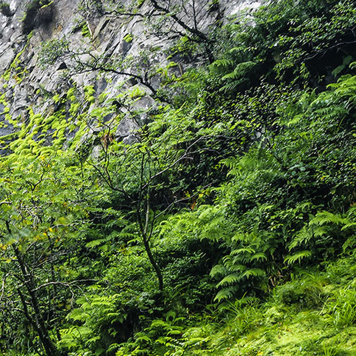 Vlies Fototapete | Glenevin Falls | Größe 200 x 250 cm