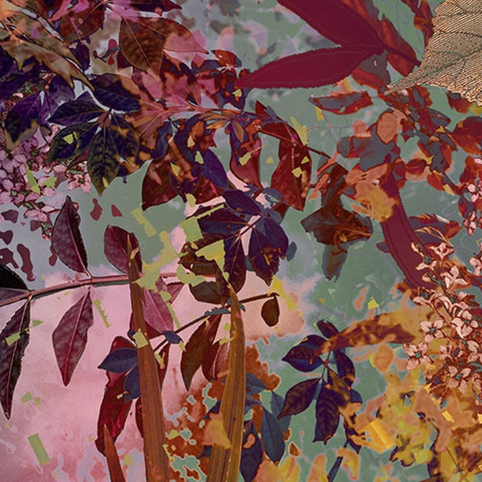 Komar | Papier Fototapete | Wild Garden | Größe 184 x 254 cm