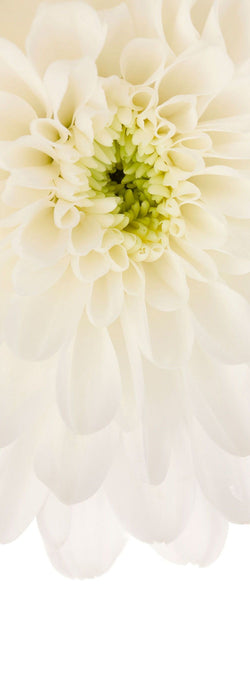 Vlies Fototapete | Beautiful | Größe 100 x 280 cm