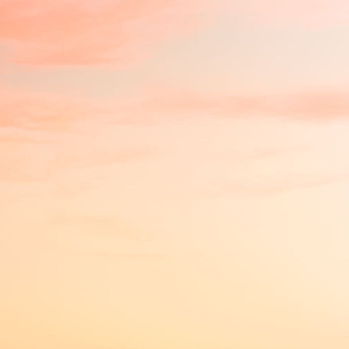 Vlies Fototapete | Misty Morning | Größe 400 x 250 cm