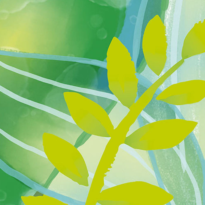 Vlies Fototapete | Ariel Seastar | Größe 150 x 280 cm