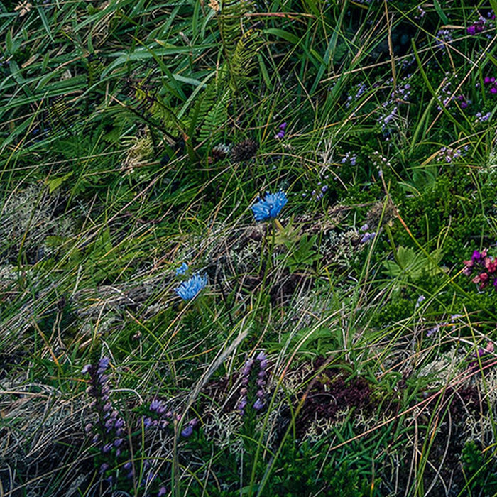 Vlies Fototapete | The Blue Bay | Größe 200 x 250 cm