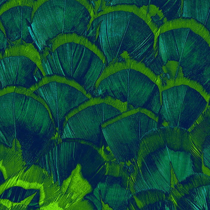 Komar | Vlies Fototapete | Feathers | Größe 200 x 250 cm