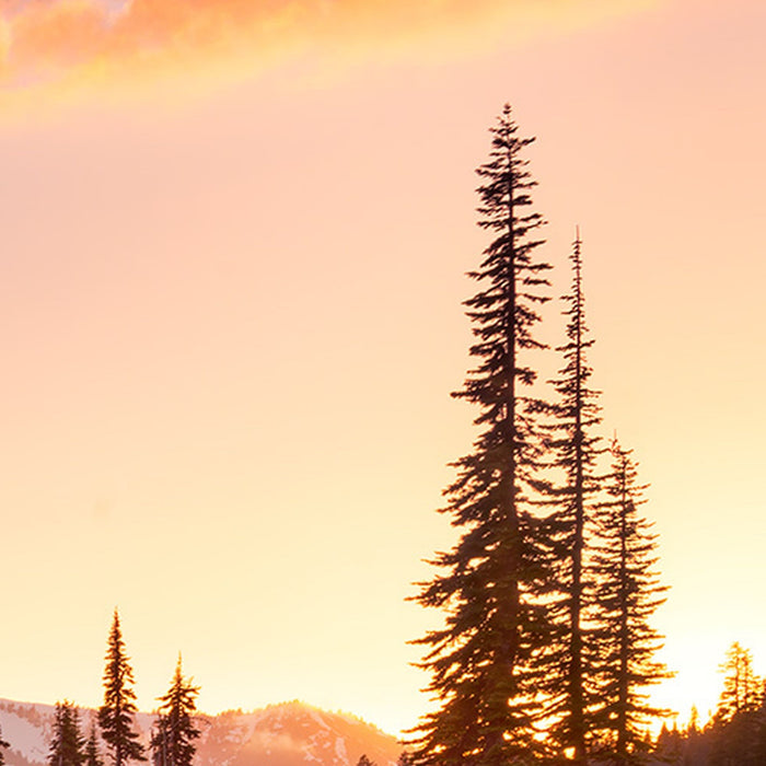 Vlies Fototapete | America the Beautiful | Größe 450 x 280 cm