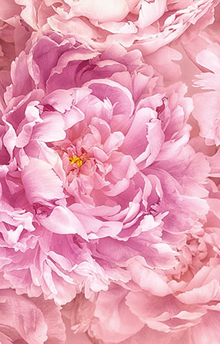 Vlies Fototapete | Soave Panel | Größe 100 x 250 cm