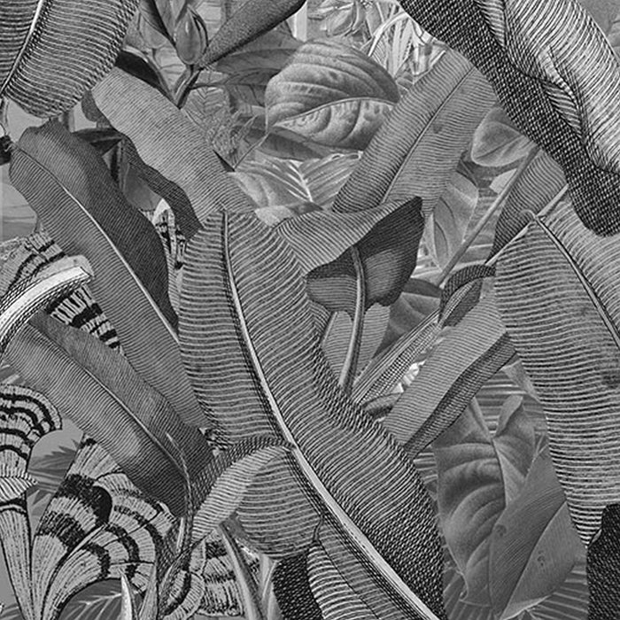 Vlies Fototapete | Amazonia Black and White | Größe 400 x 250 cm