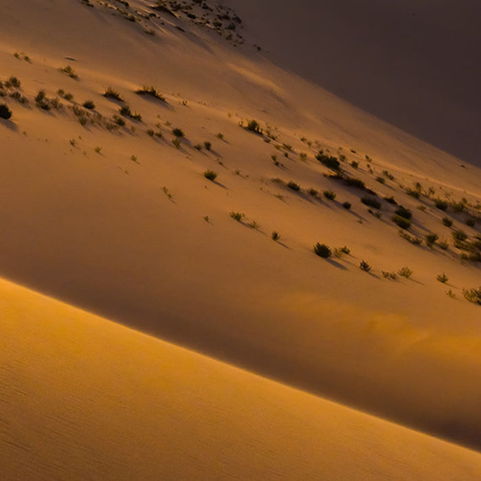 Vlies Fototapete | Wüstenmagie | Größe 200 x 280 cm