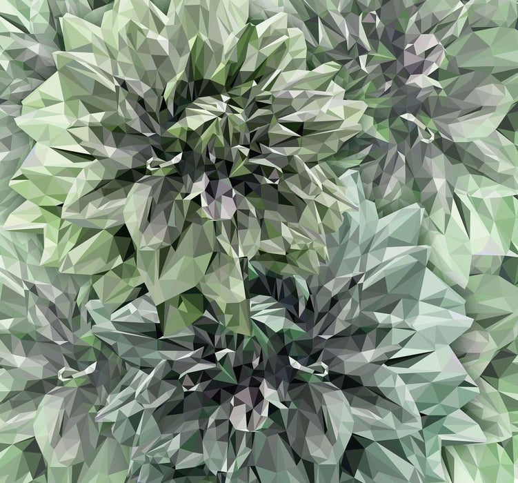 Komar | Vlies Fototapete | Emerald Flowers | Größe 300 x 280 cm