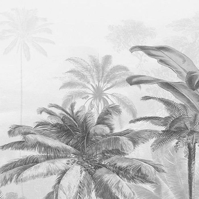 Vlies Fototapete | Amazonia Black and White | Größe 400 x 250 cm