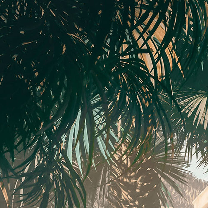 Vlies Fototapete | Manoa | Größe 350 x 250 cm