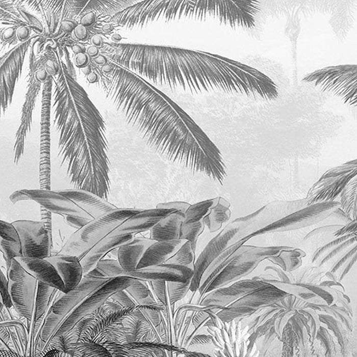 Komar | Vlies Fototapete | Amazonia Black and White | Größe 400 x 250 cm