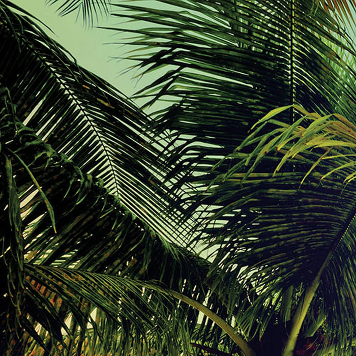 Komar | Fototapete | Miami | Größe 368 x 254 cm