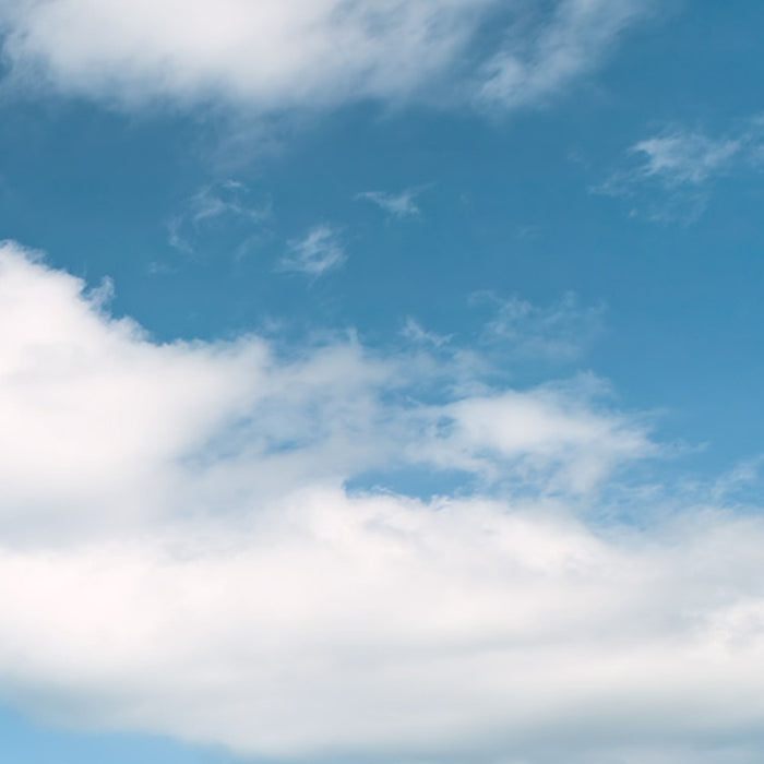 Vlies Fototapete | Schatzinsel | Größe 450 x 280 cm