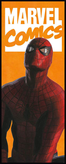 Vlies Fototapete | Spider Man Comic | Größe 100 x 250 cm
