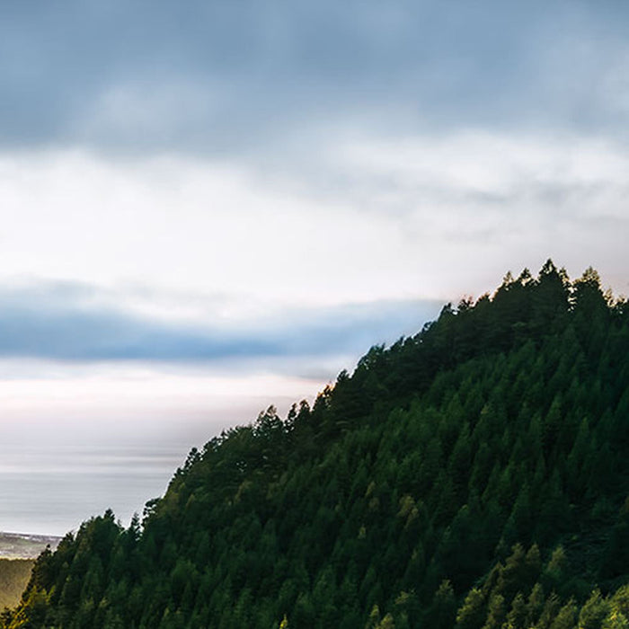 Vlies Fototapete | Paradise Island | Größe 400 x 250 cm