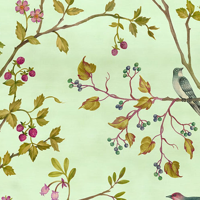 Vlies Fototapete | Oiseaux du Paradis | Größe 350 x 250 cm