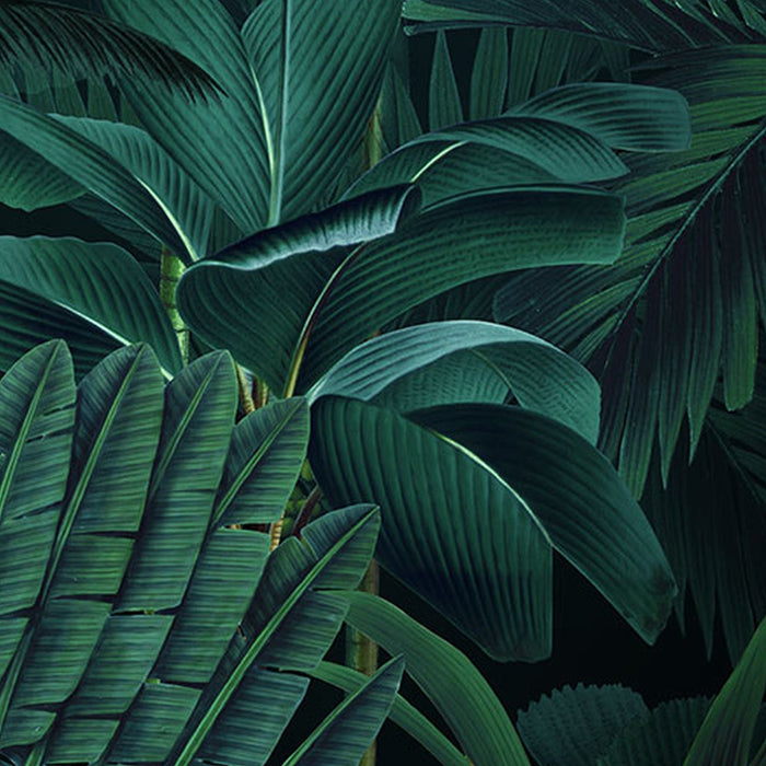 Vlies Fototapete | Jungle Night  | Größe 200 x 250 cm