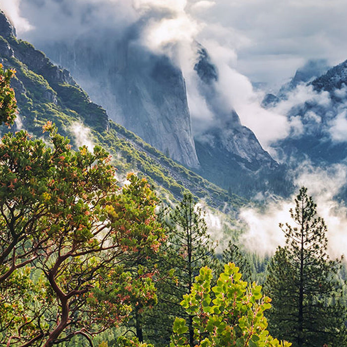 Vlies Fototapete | Unique Paradise | Größe 200 x 100 cm