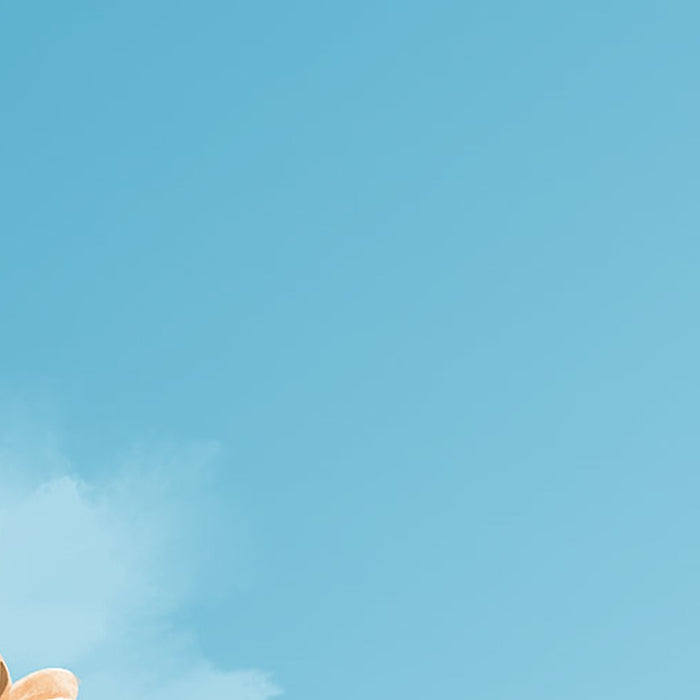 Vlies Fototapete | Winnie the Pooh Picnic | Größe 300 x 280 cm