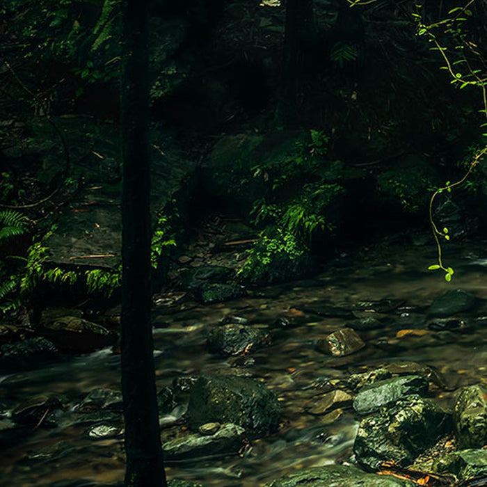 Vlies Fototapete | My Hidden Treasure | Größe 400 x 250 cm