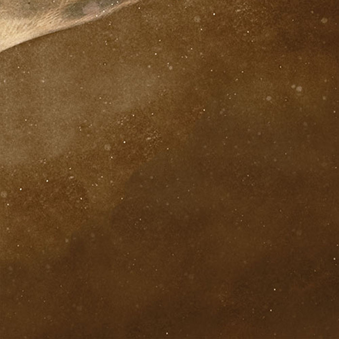 Vlies Fototapete | Star Wars Poster Classic2 | Größe 200 x 250 cm