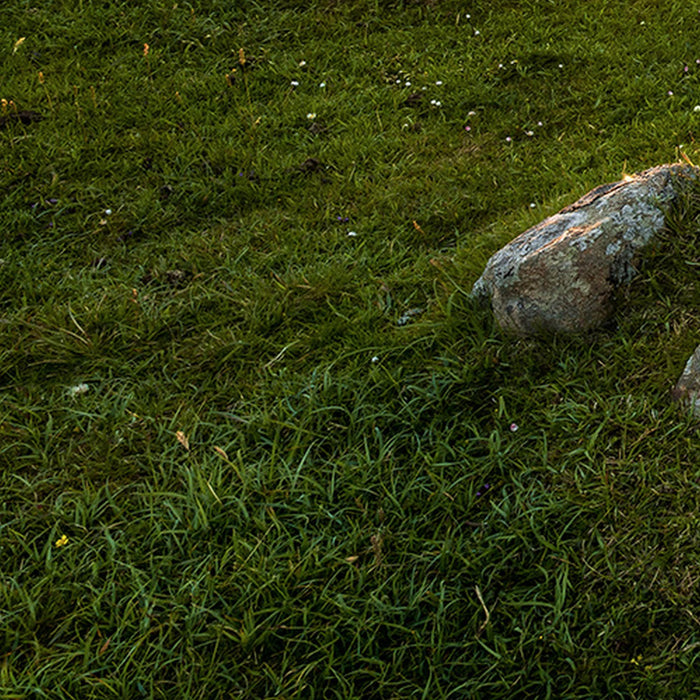 Komar | Vlies Fototapete | Scottish Paradise | Größe 450 x 280 cm