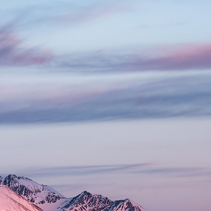 Vlies Fototapete | Purple Dinner | Größe 450 x 280 cm